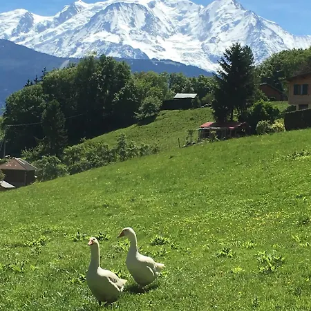 Appartement Le Sommet Sallanches